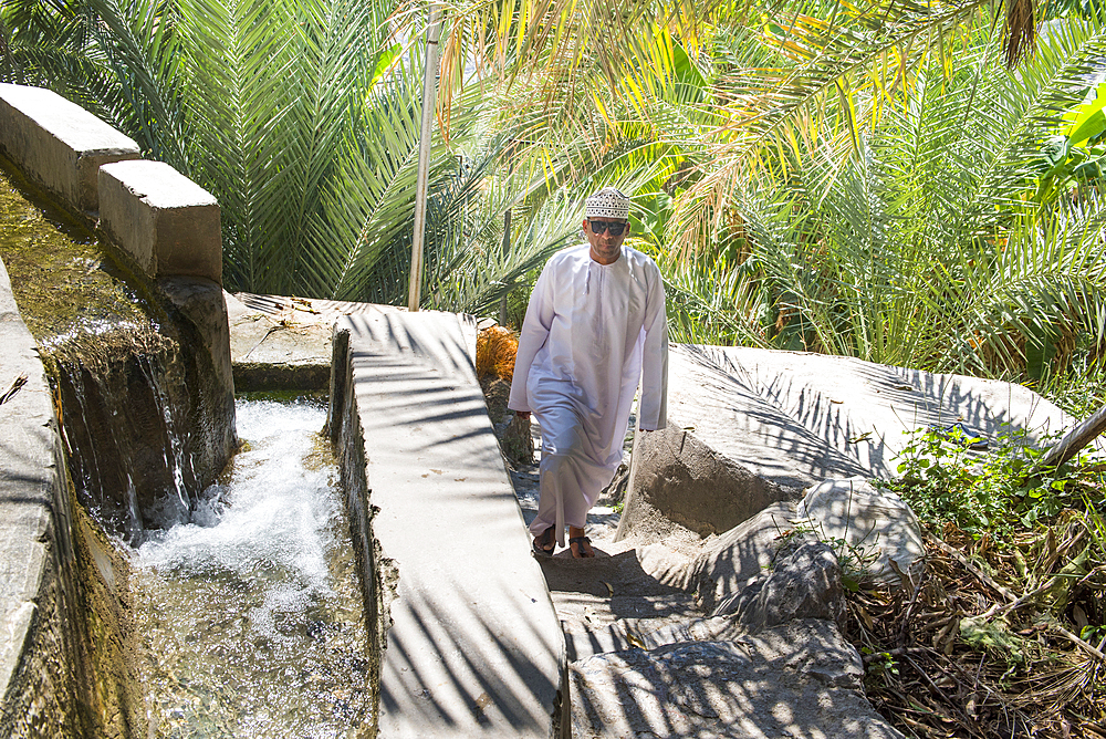 Man walking along the irrigation canals (Falaj) to supply the palm grove downstream from the Village of Misfat (or Misfah) Al Abriyeen in Jebel Akhdar, Sultanate of Oman, Arabian Peninsula, Middle East