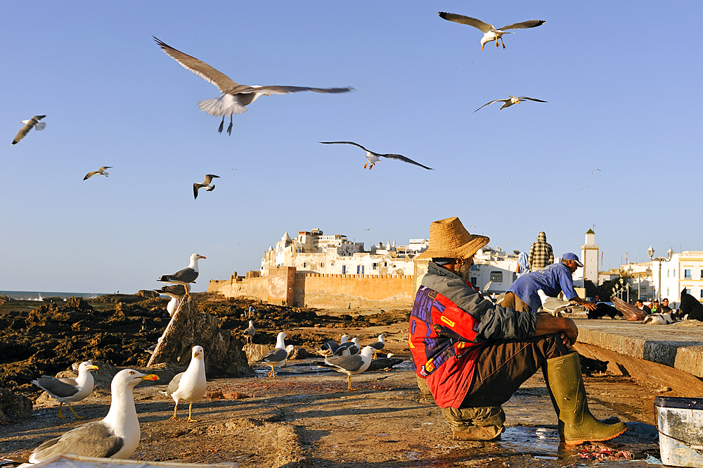 The Medina seen from sea wall on the way to the harbour, Essaouira,Morocco,North Africa