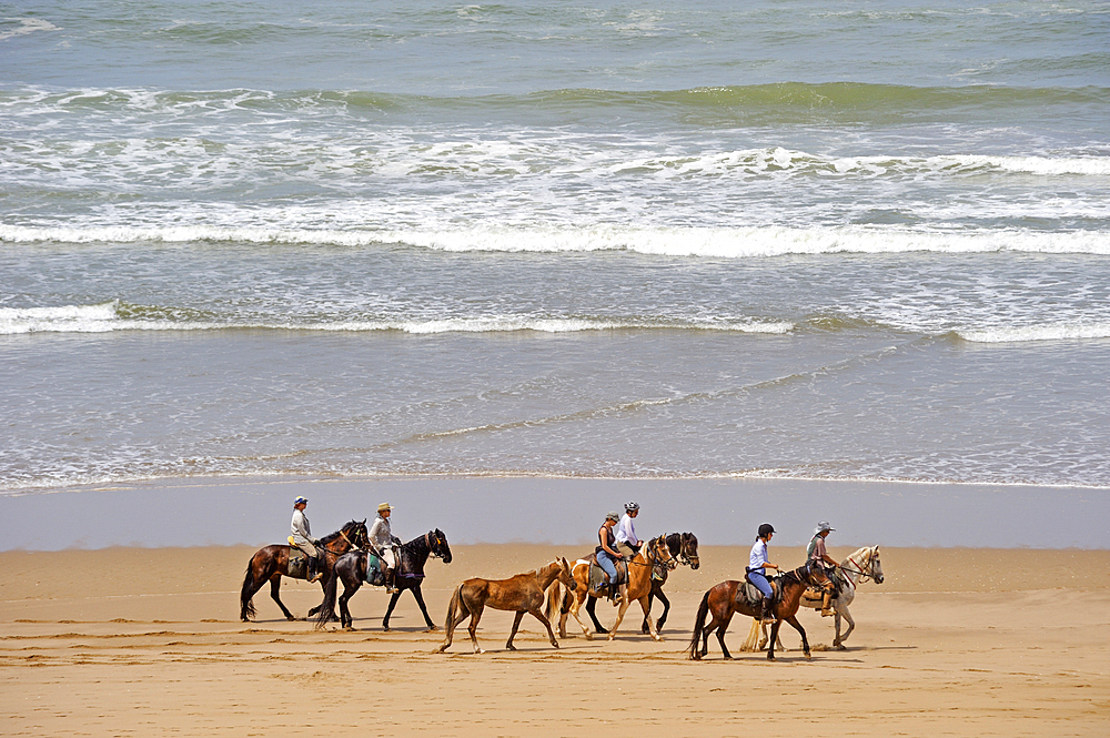 Horse riders on the beach, Souss-Massa National Park , Atlantic coast, Morocco, North Africa