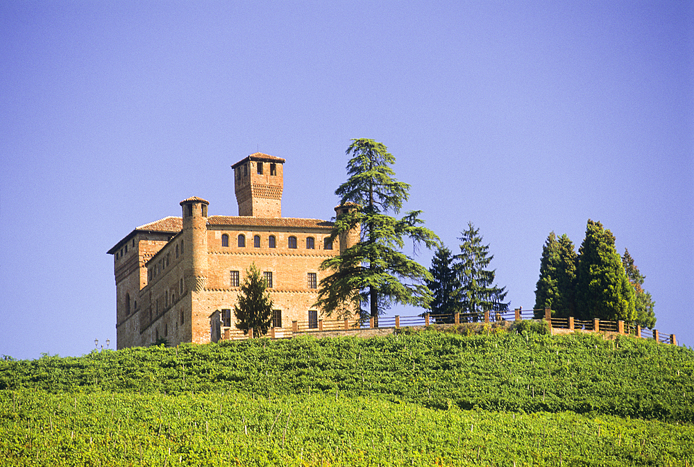 Medieval castle of Grinzane Cavour in vineyards, Province of Cuneo, Piedmont region, Italy, Europe