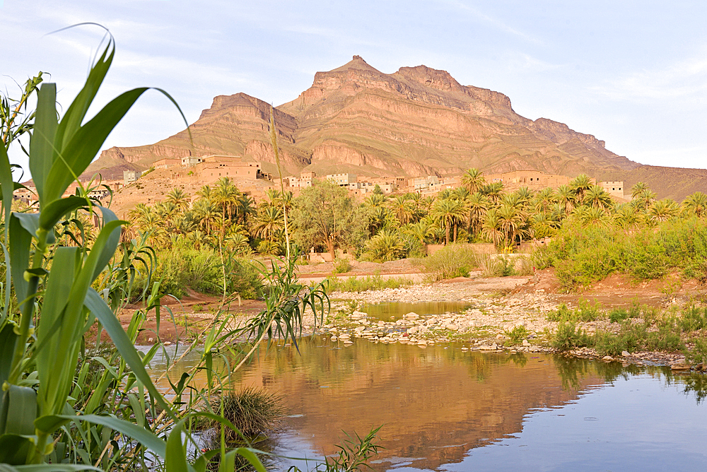 Village of Taliouine on the banks of the River Draa, in the large palm grove at Agdz, Mount Kissane (Jbel Kissane), Draa-Tafilet region, Morocco, North West Africa