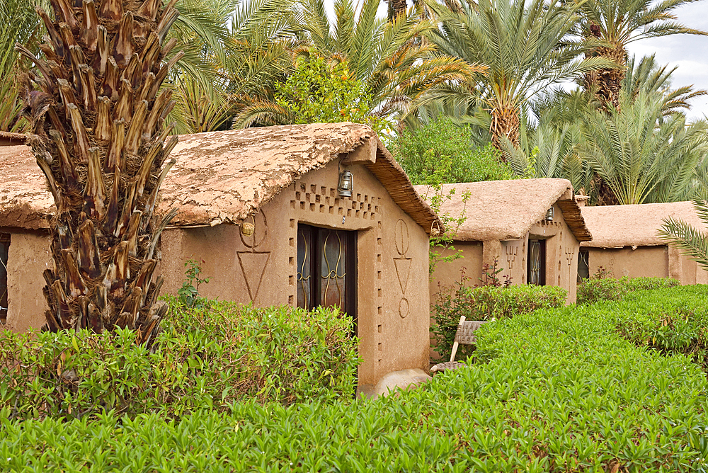 Eco-lodge Hara Oasis on the banks of the River Draa in the large palm grove in Agdz at the foot of Djebel Kissane, Mount Kissane (Jbel Kissane), Draa-Tafilet region, Morocco, North West Africa