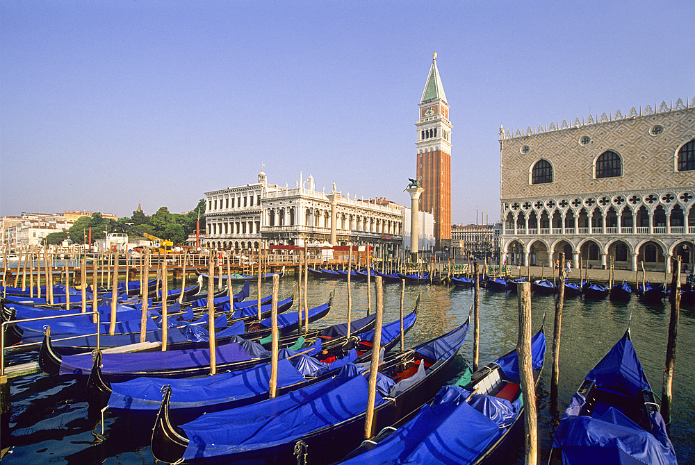 Gondolas moored at Riva degli Schiavoni with the Doges Palace and Campanile of San Marco background, Venice, UNESCO World Heritage Site, Veneto region, Italy, Europe