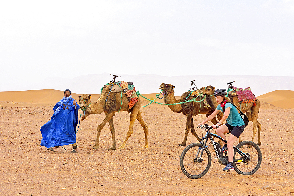 Mountain bikes and man offering camel ride at the foot of the sand dunes at Tinfou, near Tamegroute, Draa River valley, Province of Zagora, Region Draa-Tafilalet, Morocco, North West Africa