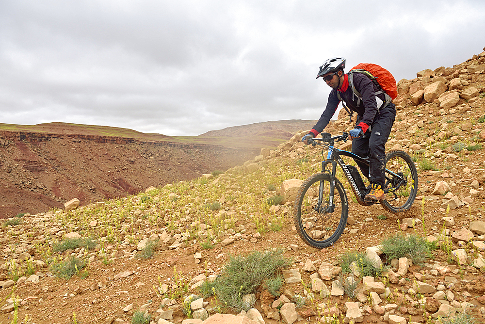 Bike rider off the road from Telouet to Ait Ben Haddou, Ounila River valley, Ouarzazate Province, region of Draa-Tafilalet, Morocco, North West Africa