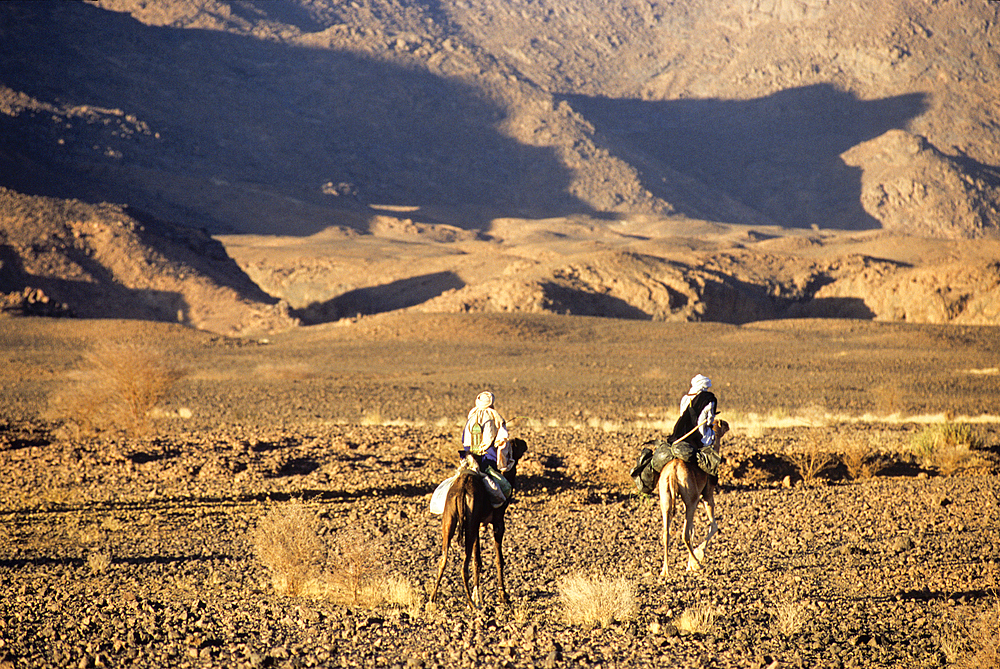 Tuaregs riding camel,Aïr,Niger,Western Africa