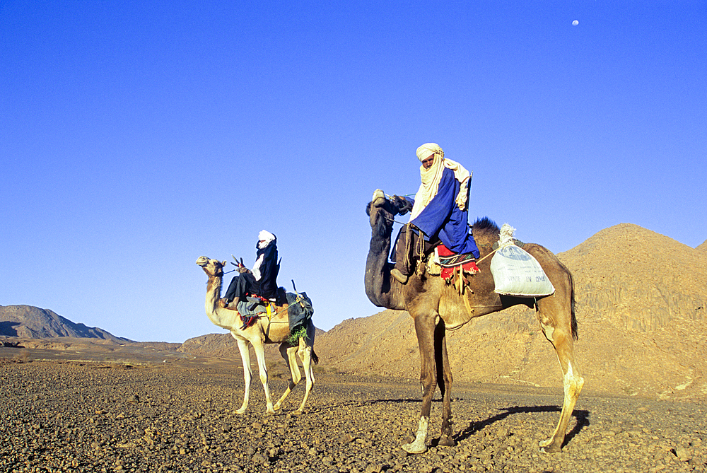 Tuaregs riding camel,Aïr,Niger,Western Africa