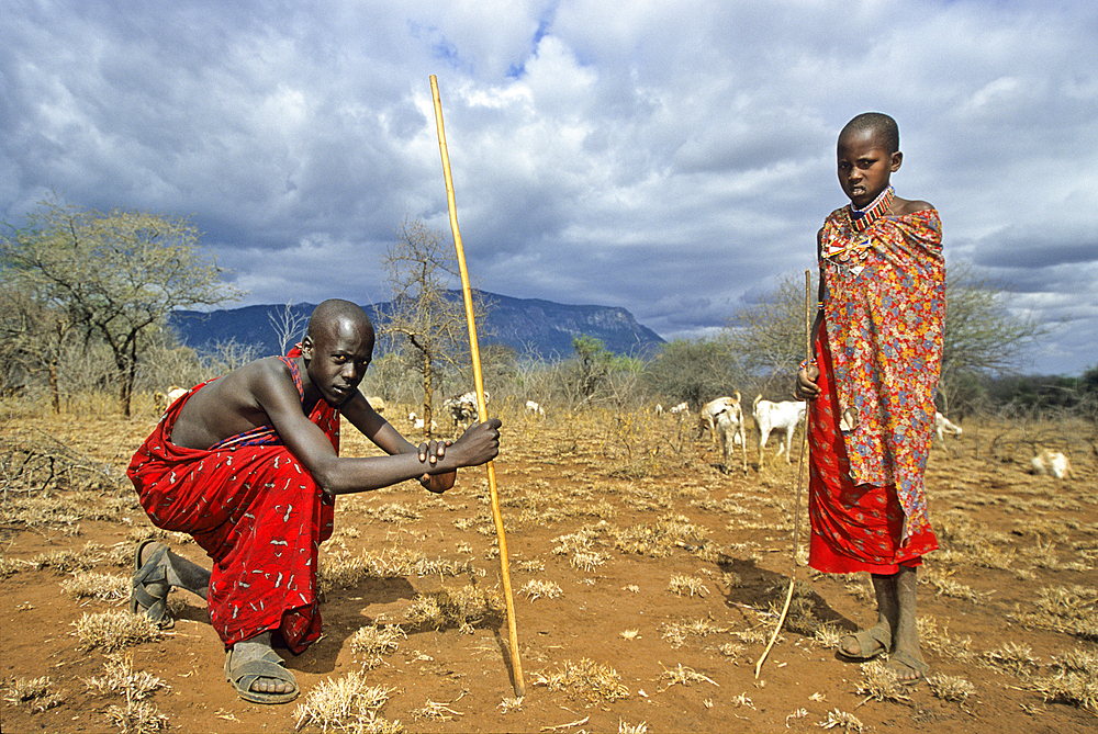 Young Maasai herd keepers, Namanga region,Kenya, East Africa