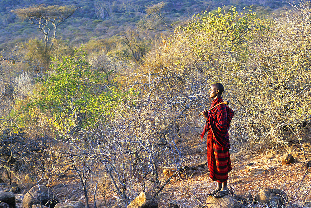 Maasai man standing on the top of a rock looking at the landscape, in the area around Namanga,Kenya, East Africa