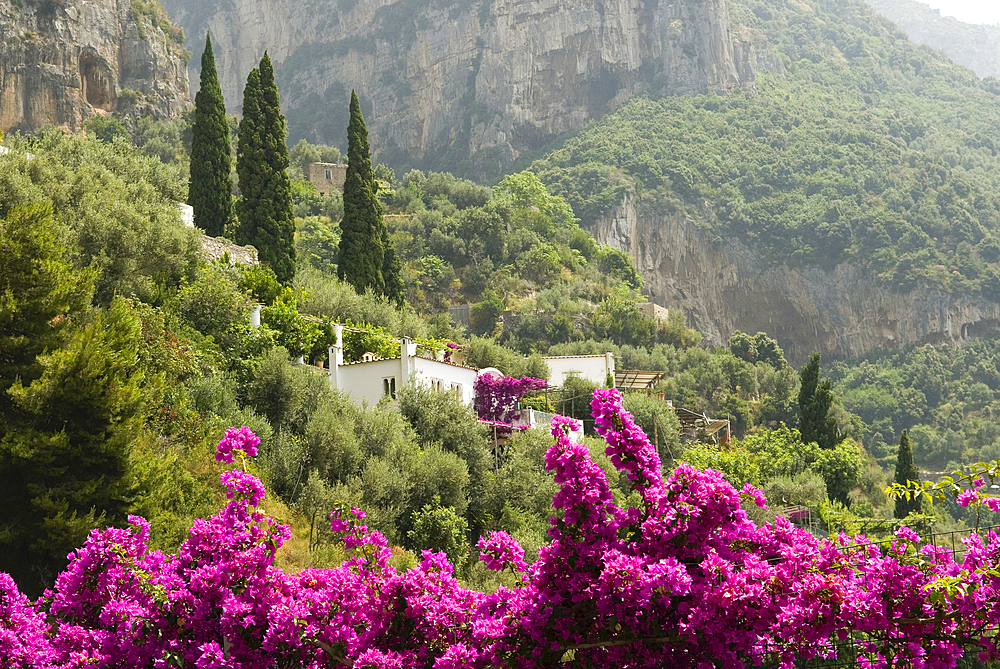 Positano, Amalfi Coast, UNESCO World Heritage Site, Province of Salerno, Campania region, Italy, Europe