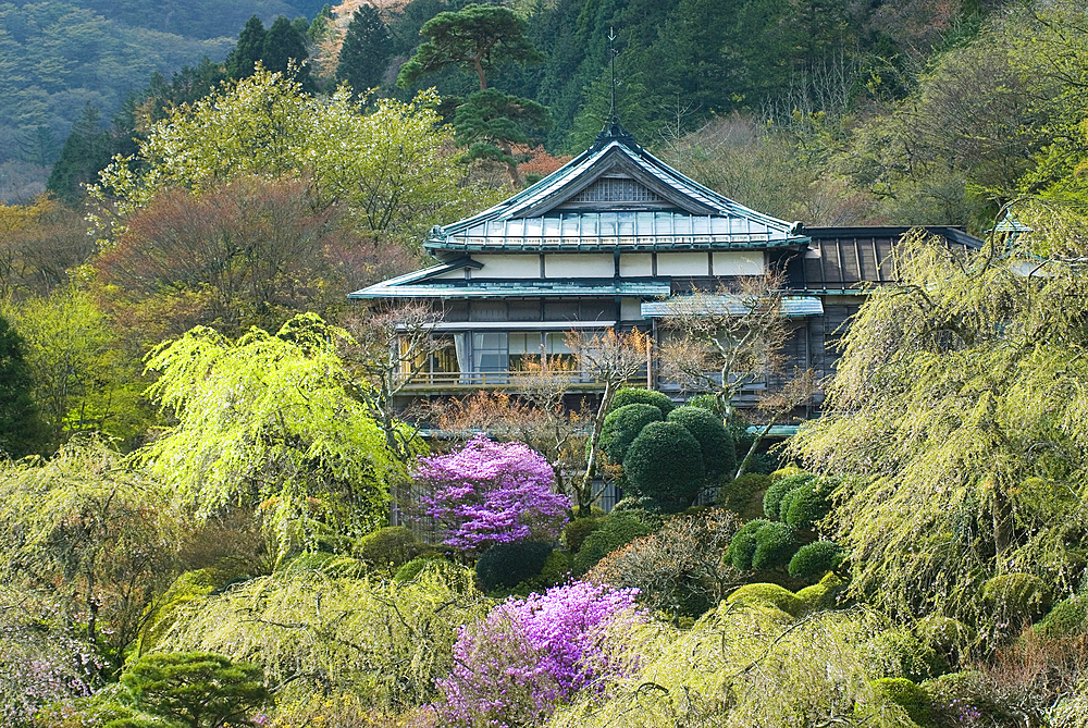 Gardens of Mikawaya Ryokan, Hakone, Japan.