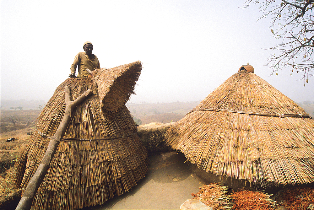 Tammari (also known as Batammariba, Tamberma, Somba, Otamari) man coming out of a granary on the roof his fortified house, known as Tata Somba ('Somba house'), Atakora department, Benin, Gulf of Guinea, West Africa