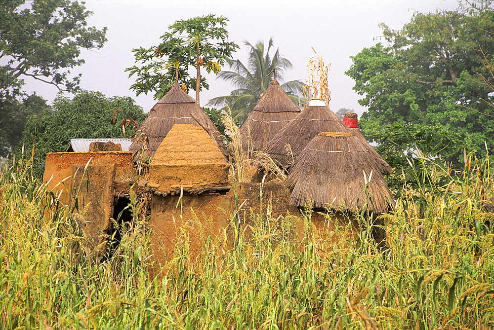 Fortified house, known as Tata Somba ('Somba house') in a Tammari (also known as Batammariba, Tamberma, Somba, Otamari) village, Atakora department, Benin, Gulf of Guinea, West Africa