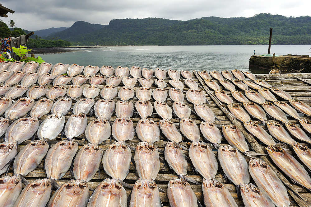 Fish drying,Porto Alegre village in the south of Sao Tome Island, Republic of Sao Tome and Principe,Africa