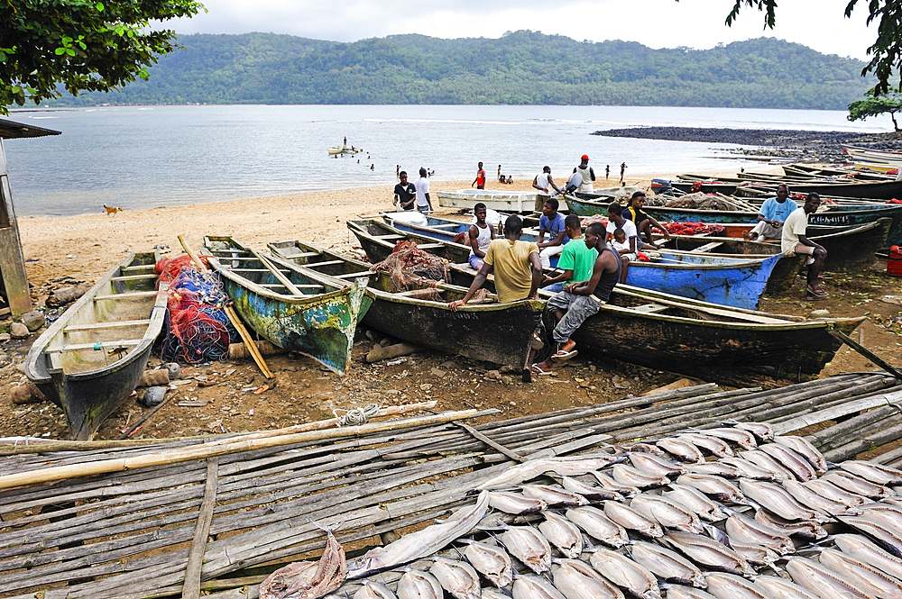Fish drying and fishermen at Porto Alegre village in the south of Sao Tome Island, Republic of Sao Tome and Principe,Africa