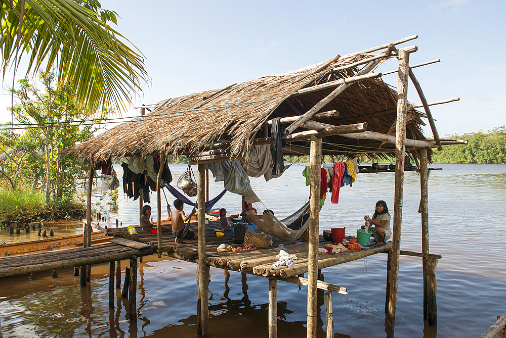 Wina Morena, Amerindian Warao villagze on stilts, Orinoco river bank, Bolivarian Republic of Venezuela, South America