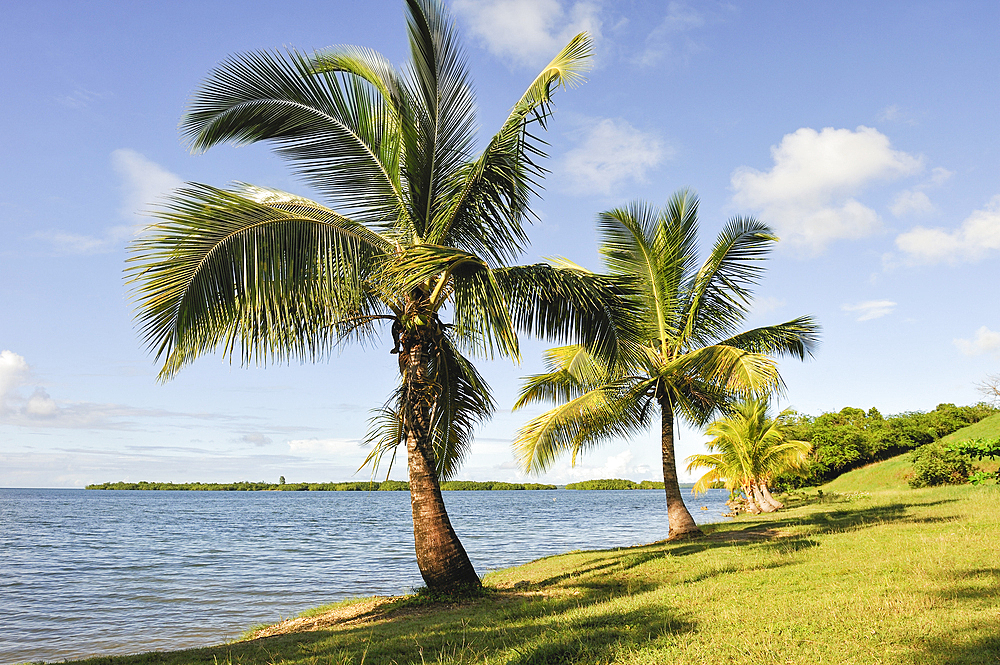 Babin beach, Morne-a-l'eau, Grande-Terre, Guadeloupe