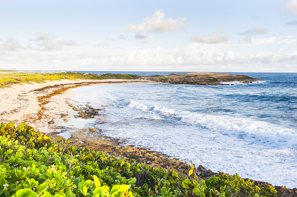 Anse des chateaux beach, Pointe des Chateaux, Grande-Terre, Guadeloupe