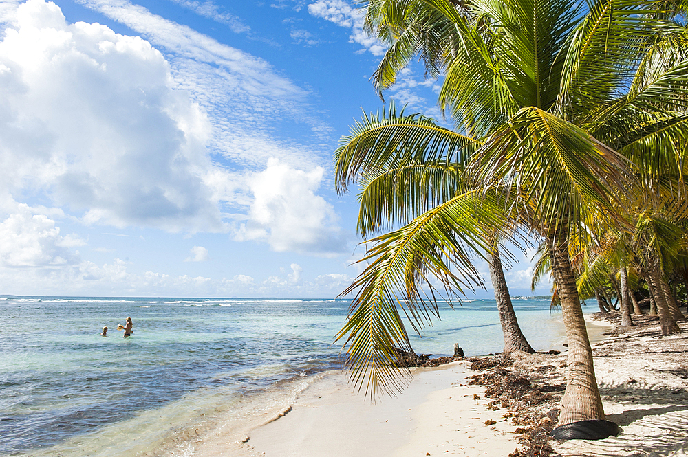 Bois Jolan beach, Sainte-Anne, Grande-Terre, Guadeloupe