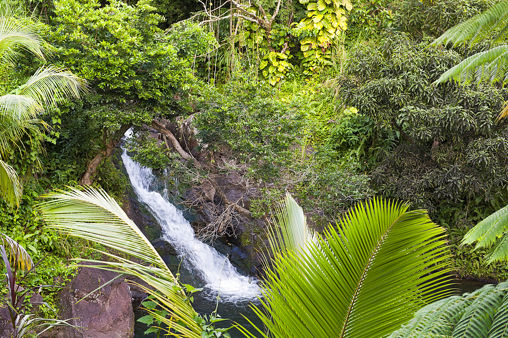 Waterfalls and natural rock pools of the Petit Carbet River, 'Villa Koulaya Tona', Trois-Rivieres, Basse-Terre, Guadeloupe, overseas region of France,Leewards Islands, Lesser Antilles, Caribbean