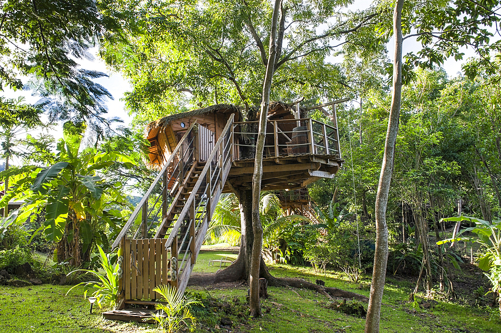 Tree house at Habitation Getz, Vieux-Habitants, Basse-Terre, Guadeloupe