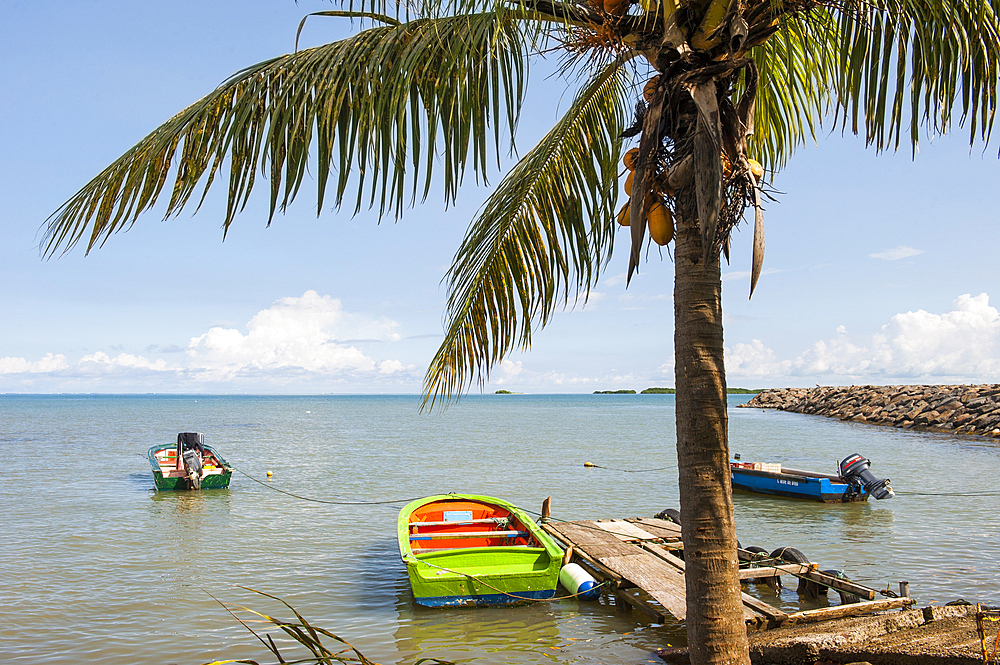 Sainte-Rose, Basse-Terre, Guadeloupe, overseas region of France,Leewards Islands, Lesser Antilles, Caribbean