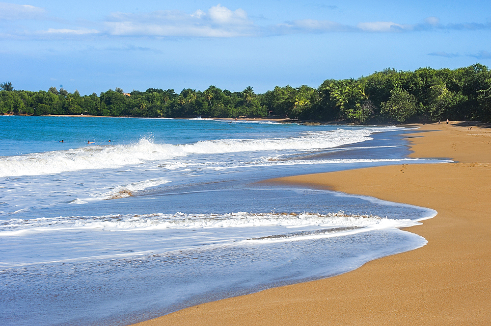 Clugny beach, Basse-Terre, Guadeloupe, overseas region of France,Leewards Islands, Lesser Antilles, Caribbean