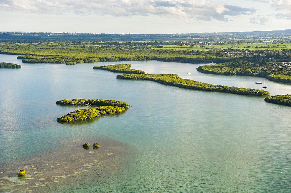 Aerial view of mangrove swamp, Grand Cul-de-sac Marin, Sainte-Rose, Basse-Terre, Guadeloupe, overseas region of France,Leewards Islands, Lesser Antilles, Caribbean
