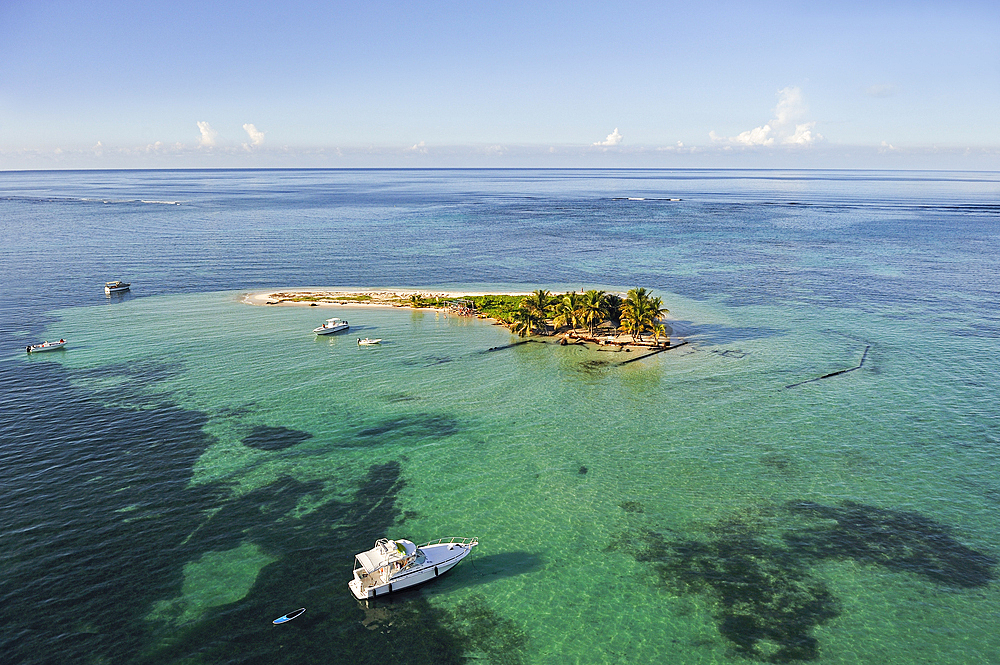 Aerial view of Caret Islet, Grand Cul-de-sac Marin, off the coast of Sainte-Rose, Basse-Terre, Guadeloupe, overseas region of France,Leewards Islands, Lesser Antilles, Caribbean