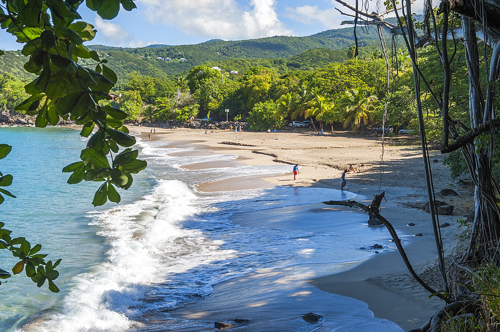 Leroux beach, between Deshaies and Pointe-Noire, Basse-Terre, Guadeloupe, overseas region of France,Leewards Islands, Lesser Antilles, Caribbean