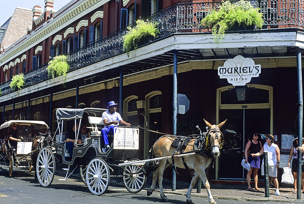 Horse-drawn carriage in Chartres Street, French Quarter neighborhood, New Orleans, Louisiana, United States of America, Americas