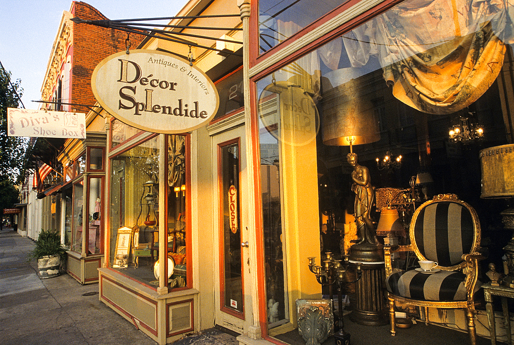 Antique dealer shop, Magazine Street, Lower Garden District, French Quarter neighborhood, New Orleans, Louisiana, United States of America, Americas