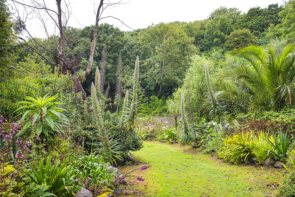 Valley Garden on Herm Island, Bailiwick of Guernsey, United Kingdom