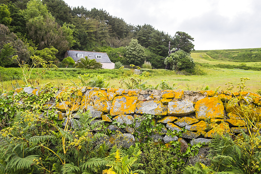 Fisherman's Cottage on the west coast of Herm Island, Bailiwick of Guernsey, United Kingdom