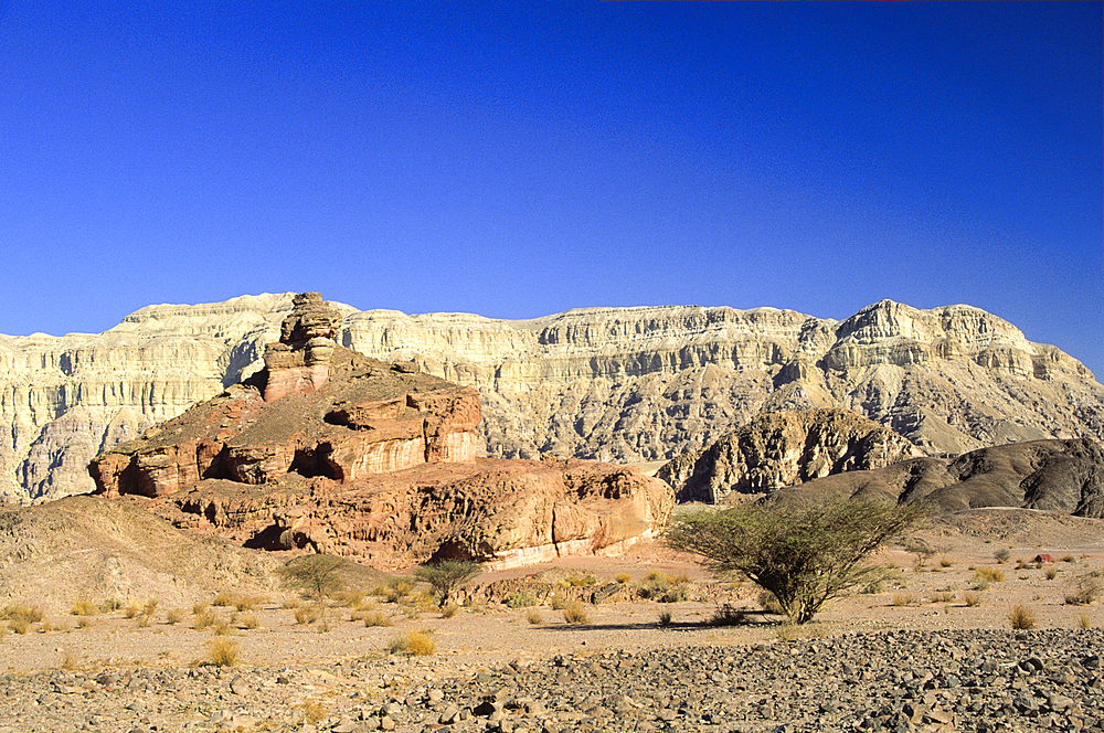 Rock formation caused by wind and water erosion,Timna Valley Park,Negev,Israel,Middle East,Western Asia