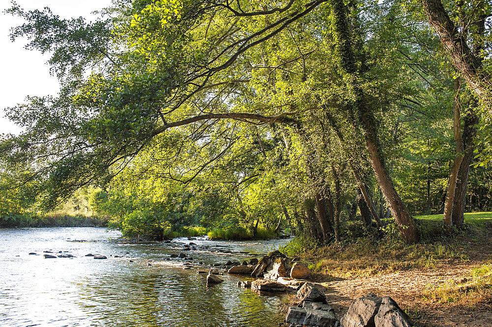 Sioule River,Allier department,Auvergne region,France,Europe