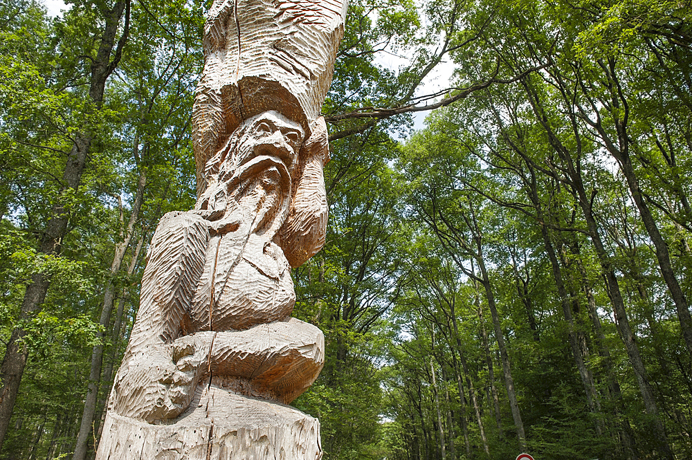 'Les Atlantes' sculpture on trunk (Douglas tree) by Antoine Halbwachs & Christophe Vehruny in the Forest of Troncais (Forêt de Tronçais), Allier department, Auvergne-Rhone-Alpes region, France, Europe