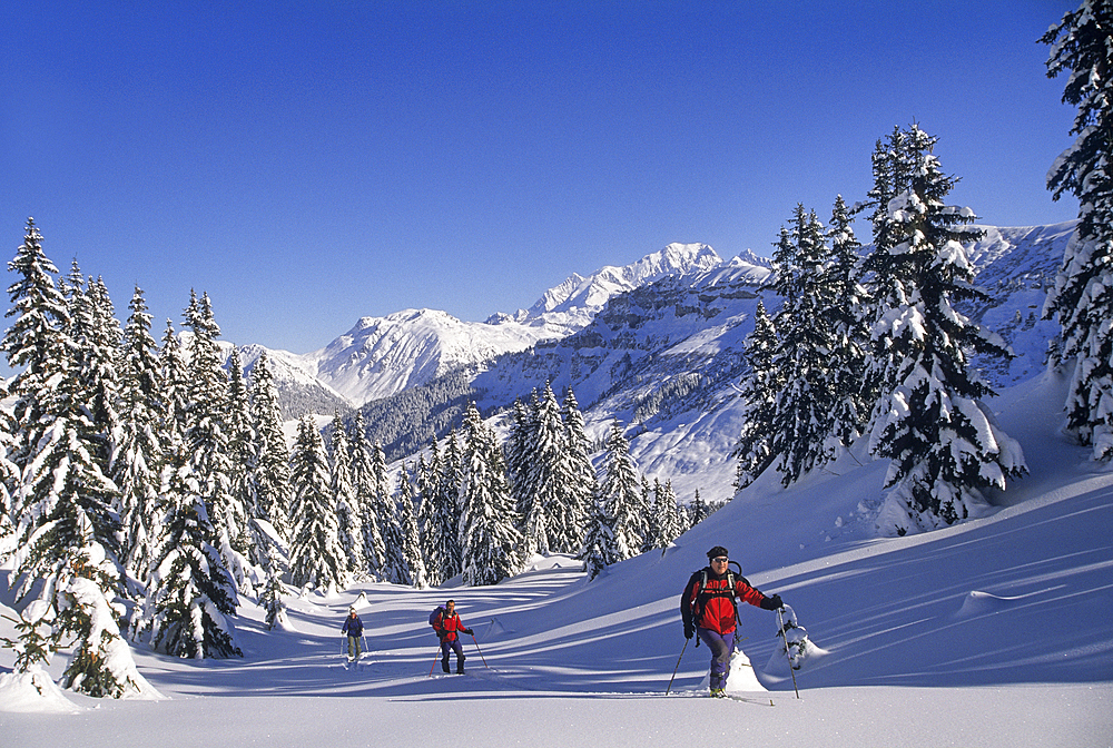 Ski touring at Areches, commune of Beaufort-sur-Doron, Savoie department, Rhone-Alpes region, France, Europe