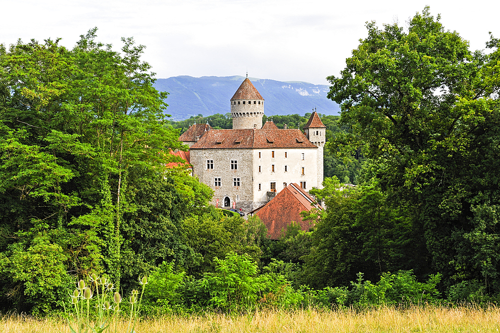Medieval castle of Montrottier, Lovagny, near Annecy,Haute-Savoie department, Rhone-Alpes region, France, Europe