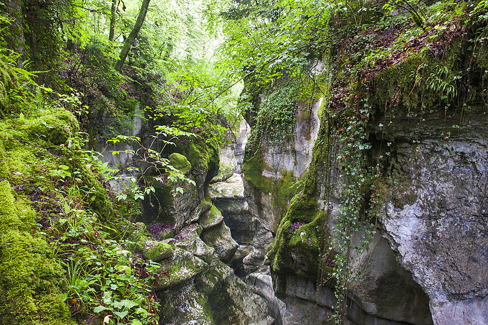Fier Gorge river, Lovagny, near Annecy,Haute-Savoie department, Rhone-Alpes region, France, Europe