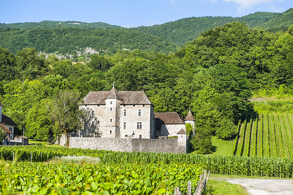 Manor in vineyards near Ruffieux, Chautagne region, Lake Bourget area,Savoie, Rhone-Alpes region, France, Europe