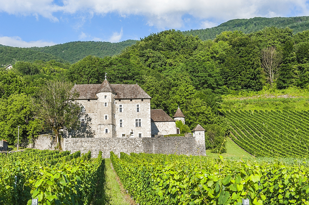 Manor in vineyards near Ruffieux, Chautagne region, Lake Bourget area,Savoie, Rhone-Alpes region, France, Europe