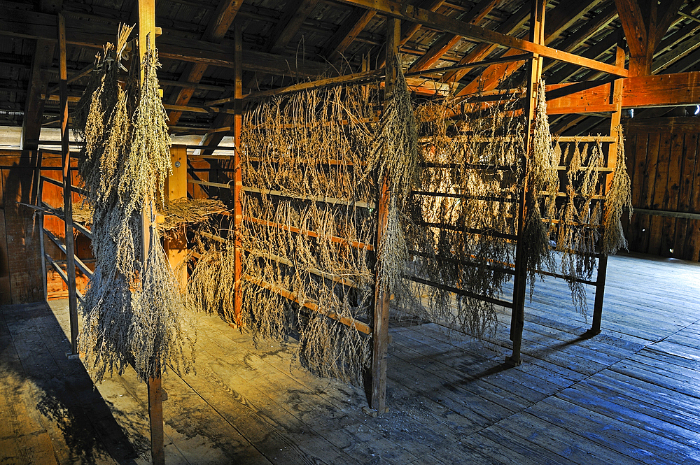 Absinthe drying shed,Boveresse,Val-de Travers,canton of Neuchatel,Switzerland,Europe