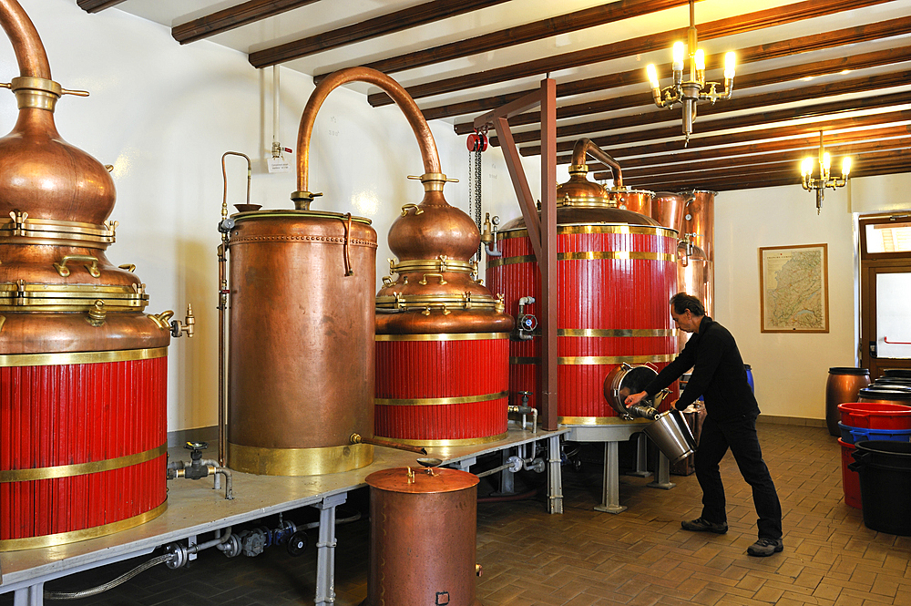Distillery Pierre Guy,Pontarlier,Doubs departement,Franche-Comte region,France Europe