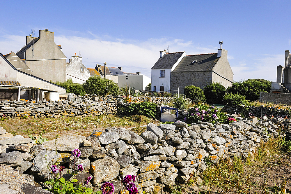 Garden,Ile de Sein,off the coast of Pointe du Raz,Finistere department,Brittany region,west of France,western Europe