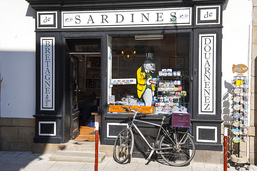Penn Sardine, specialized store for selling of vintage cans of sardines,Port of Rosmeur,Douarnenez,Finistere department,Brittany region,west of France,western Europe
