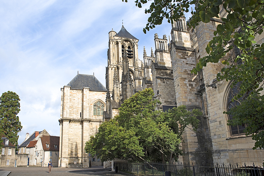 Southern side of Saint Stephen Cathedral, Bourges, Cher department, Province of Berry, Centre-Val de Loire region, France