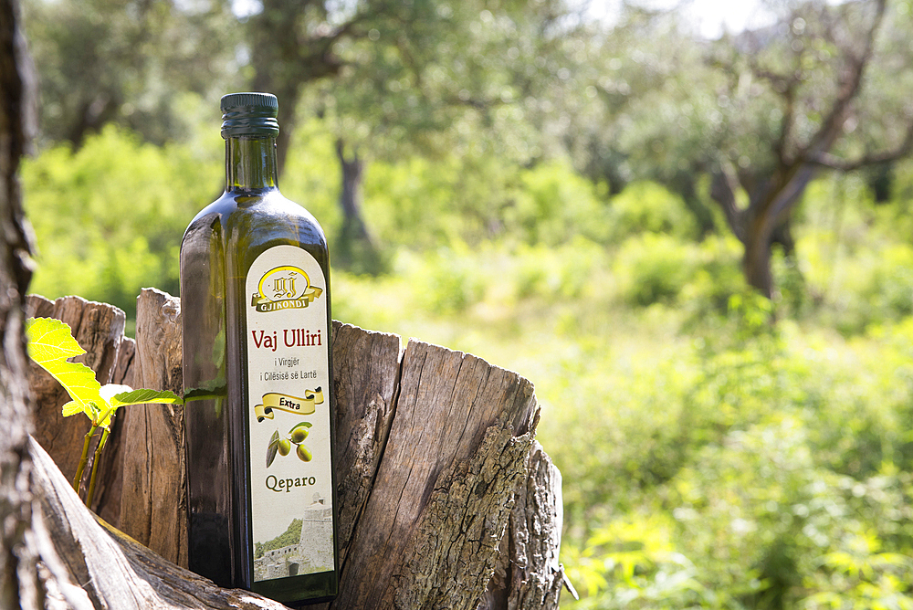 Olive oil bottle by Gjikondi family, olive oil producer at Qeparo, Ionian Coast, Albania, Europe