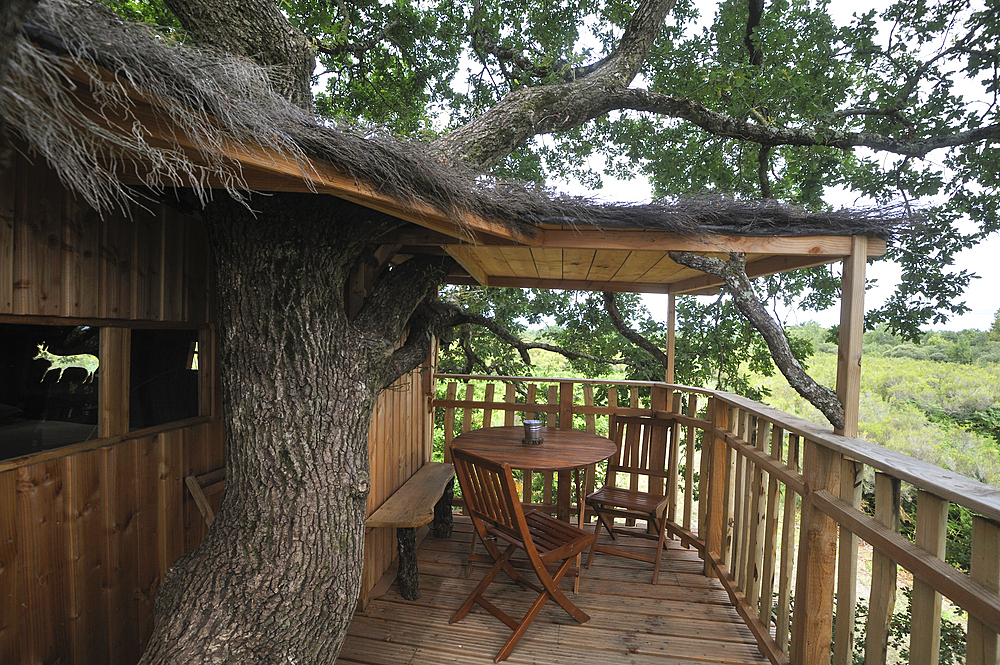Tree house Chanteclair,Chalais,Indre department,province of Berry,region of Centre,France,Europe