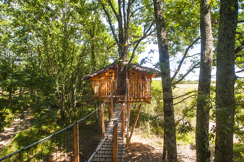 Tree house Chanteclair,Chalais,Indre department,province of Berry,region of Centre,France,Europe